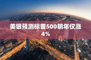 美银预测标普500明年仅涨4%