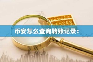币安怎么查询转账记录：
