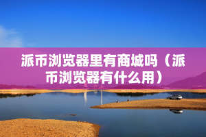 派币浏览器里有商城吗（派币浏览器有什么用）