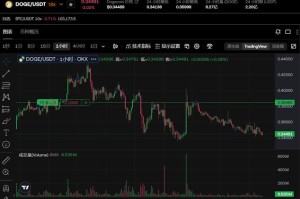 dxcoin行情最新价格走势及市场分析