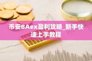 币安BAex盈利攻略_新手快速上手教程