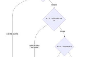 BCX币种钱包缺失原因分析及解决方案