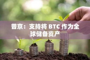 普京：支持将 BTC 作为全球储备资产