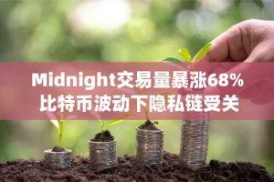 Midnight交易量暴涨68% 比特币波动下隐私链受关注