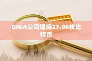 GIGA公司增持27.96枚比特币