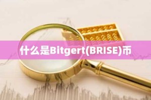 什么是Bitgert(BRISE)币