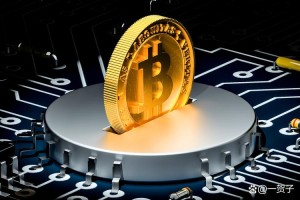 比特币网络是什么：比特币网络指的是什么东西