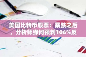 美国比特币股票：暴跌之后，分析师缘何预判106%反弹空间