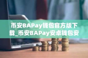 币安BAPay钱包官方版下载_币安BAPay安卓钱包安装教程