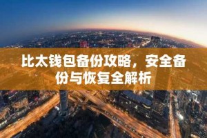 比太钱包备份攻略，安全备份与恢复全解析