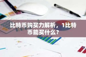 比特币购买力解析，1比特币能买什么？