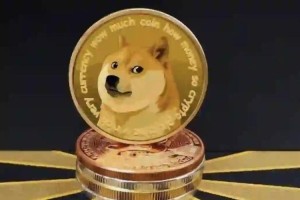 为什么狗狗币提币不到账