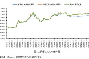 show币最新行情，波动分析及趋势预测