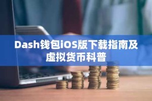 Dash钱包iOS版下载指南及虚拟货币科普
