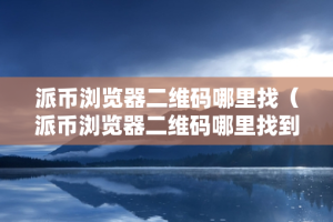 派币浏览器二维码哪里找（派币浏览器二维码哪里找到）