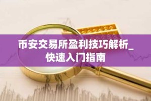 币安交易所盈利技巧解析_快速入门指南