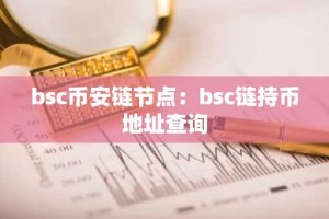 bsc币安链节点：bsc链持币地址查询