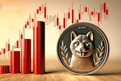 fil币可以投资吗