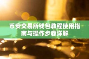 币安交易所钱包教程使用指南与操作步骤详解