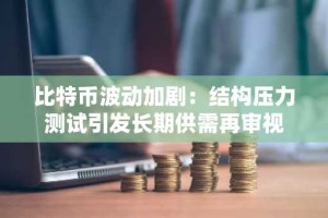 比特币波动加剧：结构压力测试引发长期供需再审视