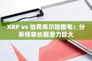XRP vs 伯克希尔哈撒韦：分析师称长期潜力巨大