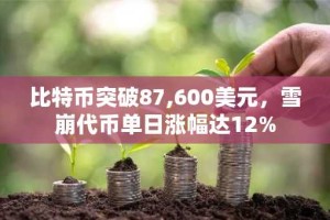 比特币突破87,600美元，雪崩代币单日涨幅达12%