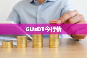 GUsDT今行情