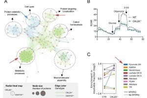 hecofi前景如何：hecofinance