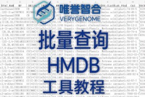 BIONE交易所下载VBTC：