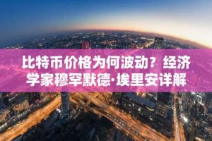 比特币价格为何波动？经济学家穆罕默德·埃里安详解背后动因