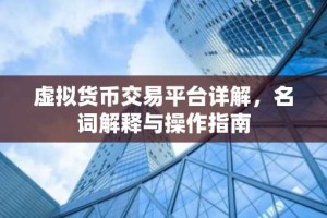 虚拟货币交易平台详解，名词解释与操作指南