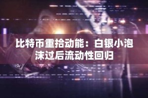 比特币重拾动能：白银小泡沫过后流动性回归