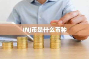 INJ币是什么币种