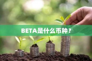 BETA是什么币种？