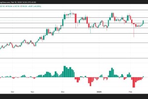莱特币价格年线：莱特币一年价格走势图