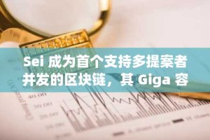 Sei 成为首个支持多提案者并发的区块链，其 Giga 容量规模达到 100 万亿次。