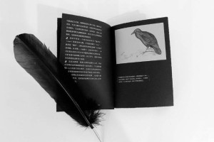 乌鸦币用什么钱包：乌鸦币用什么钱包好