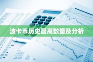 波卡币历史最高数量及分析