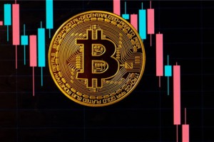 tc最新报价(Tc价格)