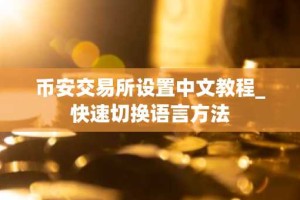 币安交易所设置中文教程_快速切换语言方法
