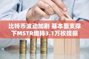 比特币波动加剧 基本面支撑下MSTR增持3.1万枚提振信心