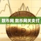 数币网 数币网关支付