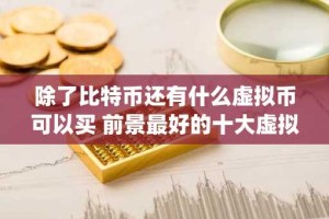 除了比特币还有什么虚拟币可以买 前景最好的十大虚拟币排名 _ 2024