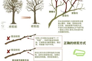 如何挖dash：如何挖大树桩视频