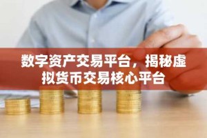 数字资产交易平台，揭秘虚拟货币交易核心平台
