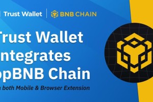 trustwallet怎么到交易所：trustwallet怎么卖币