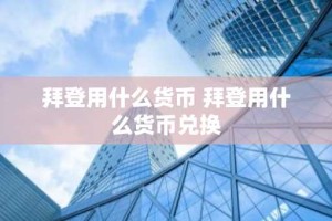 拜登用什么货币 拜登用什么货币兑换