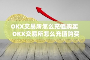 OKX交易所怎么充值购买 OKX交易所怎么充值购买及ok交易所怎么充币