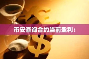 币安查询合约当前盈利：