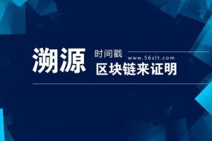 智链通交易所：智链通交易所官网